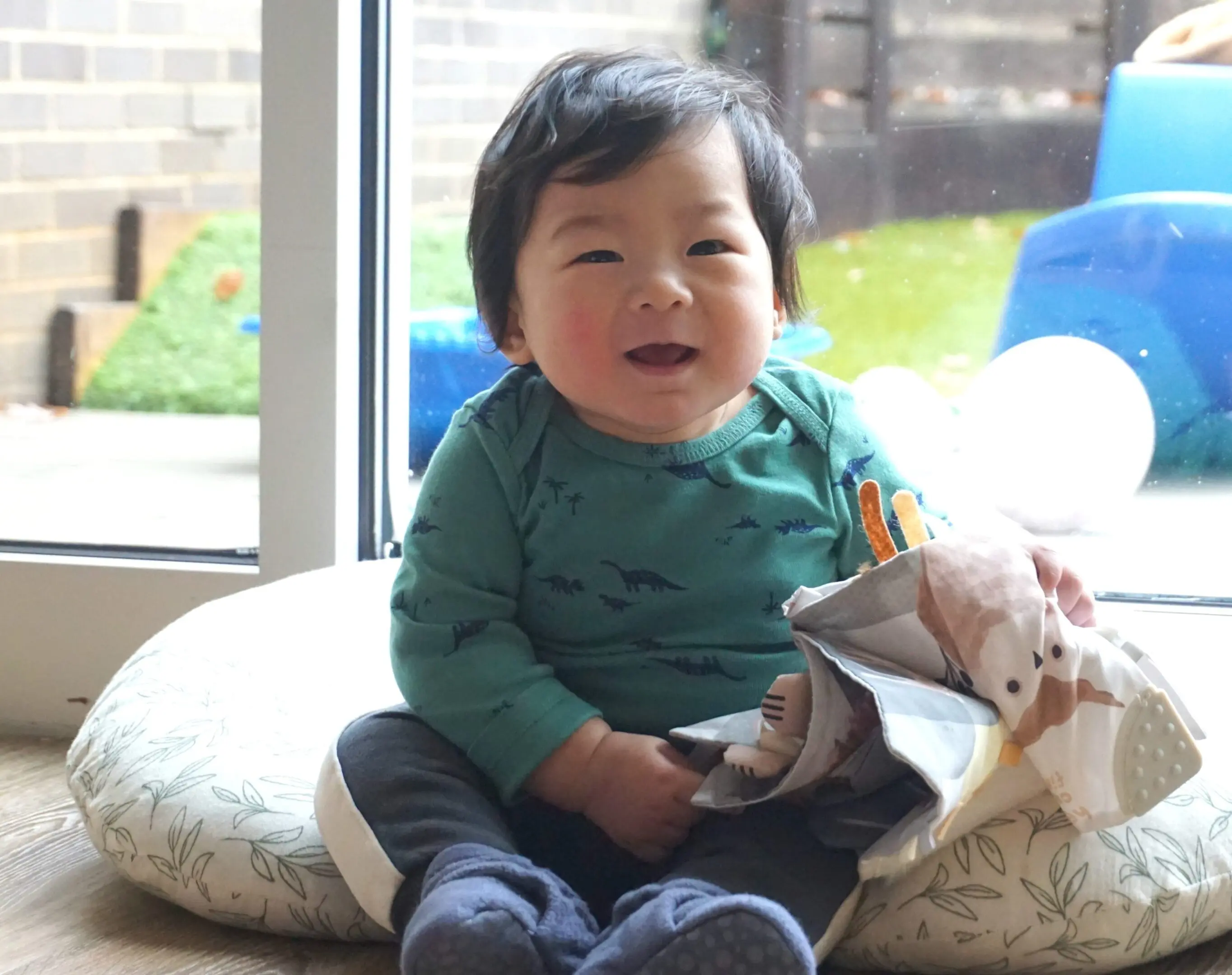 69276a8465e36_Infant Cove